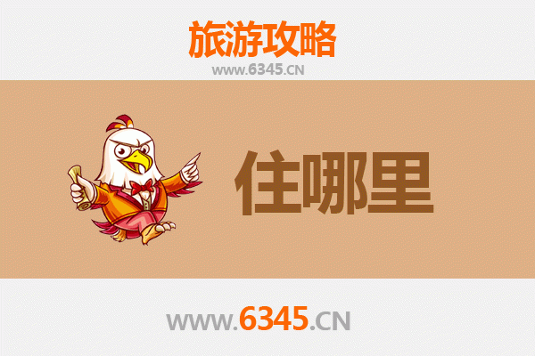 西安雁塔区旅游民宿全攻略：沉浸盛唐风韵，宿在历史深处