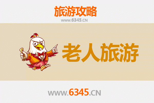 西安雁塔区银发之旅：慢游古都，乐享人文与自然